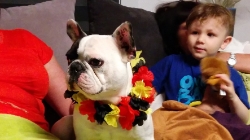 (2016-06) Anniversaire Mattia et victoire des Belges 4-0